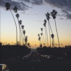 Meet your Posher, Avery